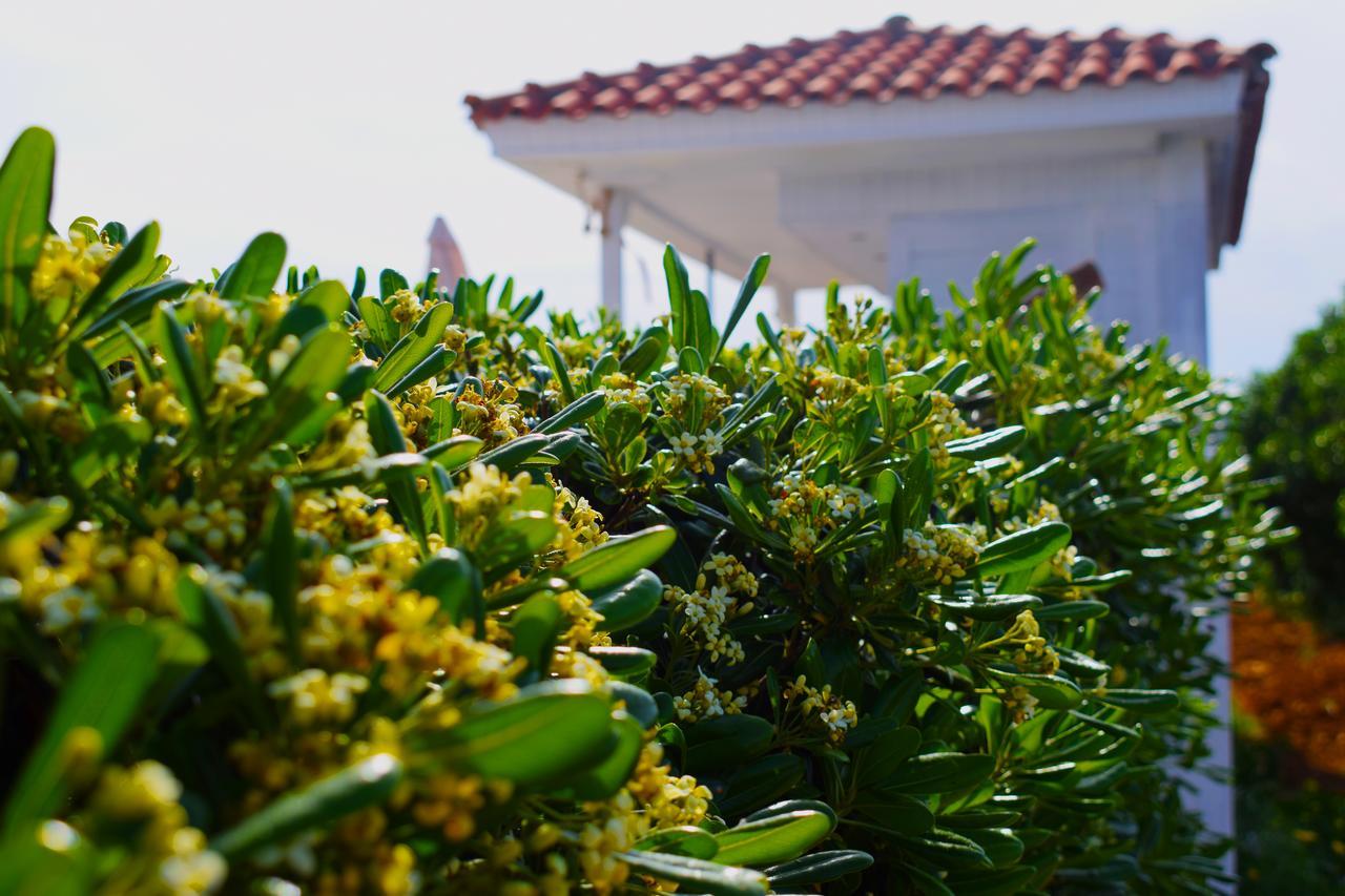 Sofia'S House "By Checkin" (Adults Only) Hotel Kokkini Hani Exterior photo